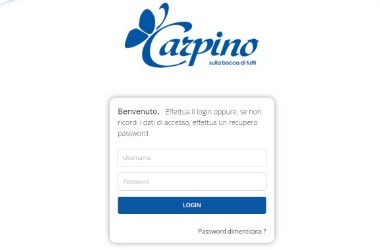 Carpino srl